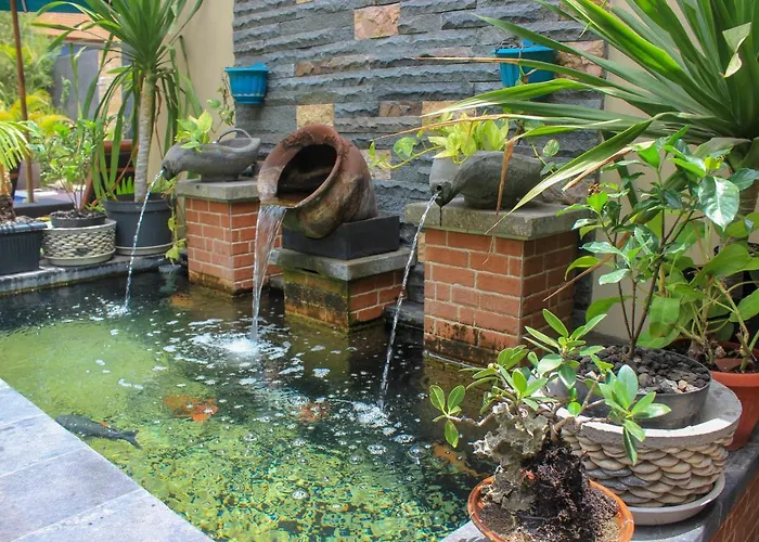 Guest house Pattri Garden 4*