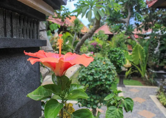 Pattri Garden